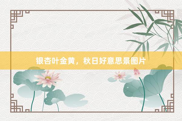 银杏叶金黄，秋日好意思景图片
