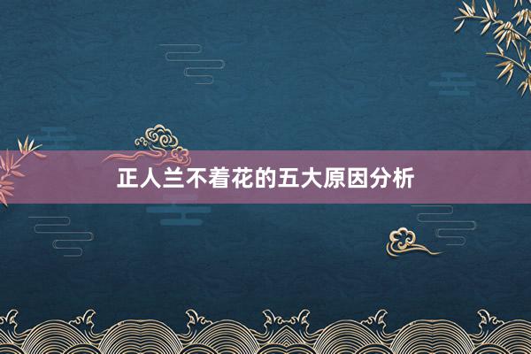 正人兰不着花的五大原因分析